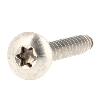 Vis de Penture TRL Torx 6X50 Inox A4