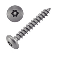 Vis Tôle Inviolable Tête Bombée Torx + Téton 4.8X16 Inox A2