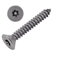 Vis Tôle Inviolable TF Torx + Téton 3.5X13 Inox A2 DIN 7982