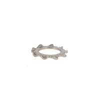 Dentatura esterna forma 