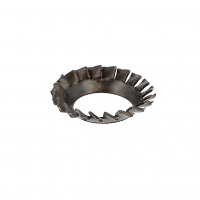 Dentatura esterna concava 