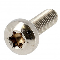 Tête Cylindrique Bombée Large Empreinte Torx
