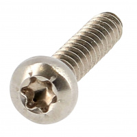 Testa cilindrica bombata larga Torx