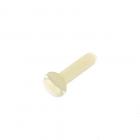Tête Fraisée Bombée Fendue Nylon Naturel PA6-6 Din 964