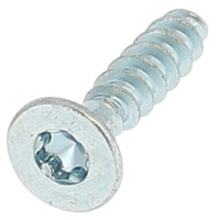 Plastite testa forata Torx WN 1423 acciaio zincato bianco