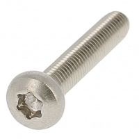 Testa cilindrica bombata Torx