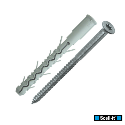 Cheville Nylon Double Expansion 10X160 avec Vis TF Torx