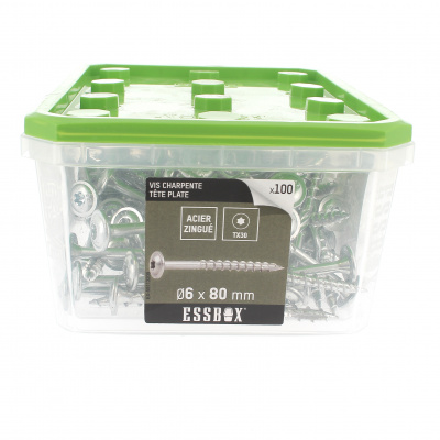 ESSBOX de 100 Vis de Charpente Tête Plate Torx Acier Zingué