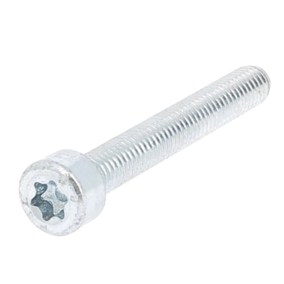 TC TORX M6X16 ACIER 8.8 Z.BLANC ISO 14579