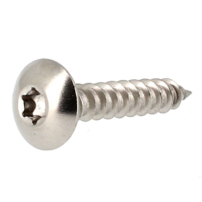 Vis de Penture TRL Torx 6X40 Inox A2