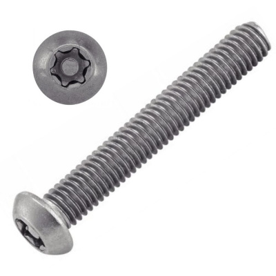 VIS INVIOLABLE TB TORX + TETON M5X60 INOX A2