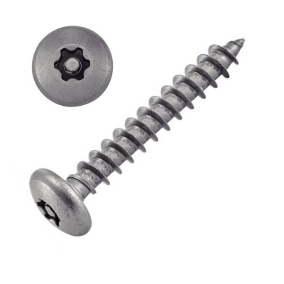 VIS TOLE INVIOLABLE TETE BOMBEE TORX + TETON 4.8X50 INOX