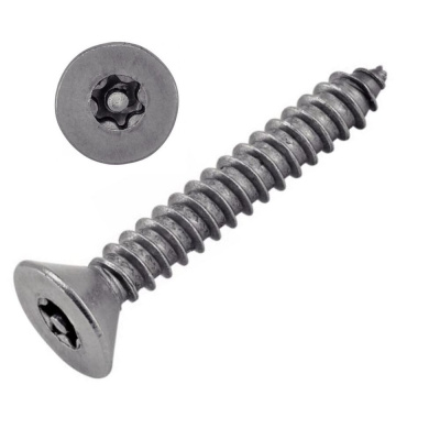 VIS INVIOLABLE TOLE TF TORX + TETON 4.8X19 INOX A2