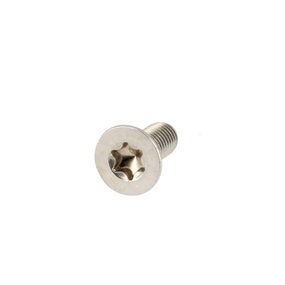 TF Torx M4X40 Inox A2 DIN 965