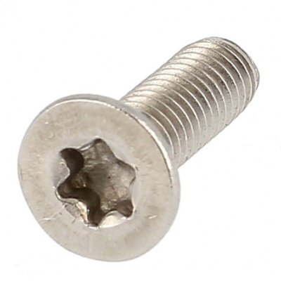 TF TORX M6X30 INOX A2 ISO 14581