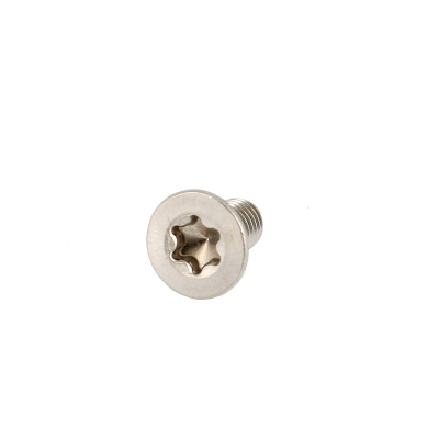 TF Torx M4X12 Inox A4 DIN 965