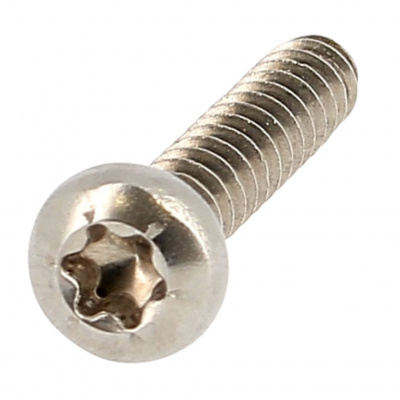 TOLE TCBL TORX 5.5X38 INOX A2 DIN 7981X